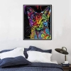 Obrazy diamentowe 5d 30 x 40 cm - kolorowy kot